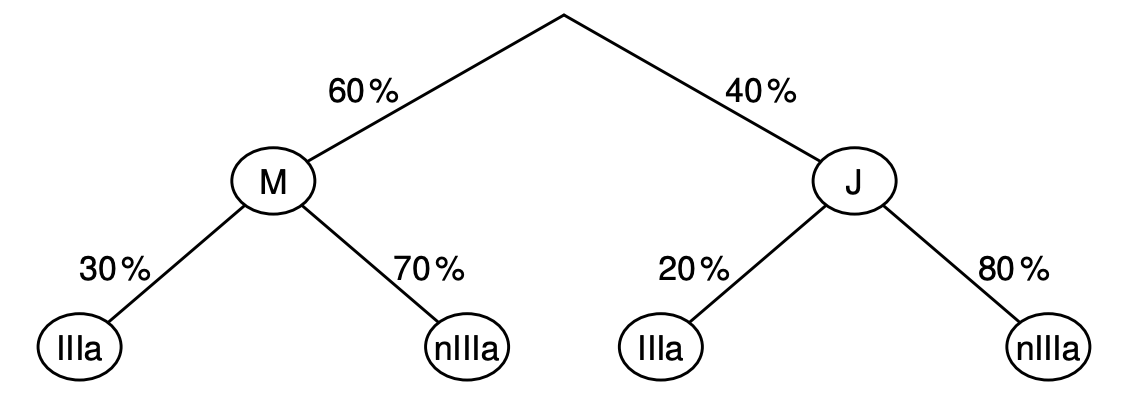 Wahrscheinlichkeitsbaum: 60% zu M (30%→IIIa, 70%→nIIIa), 40% zu J (20%→IIIa, 80%→nIIIa)